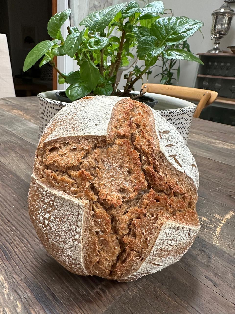 Whole Wheat Sourdough Loaf