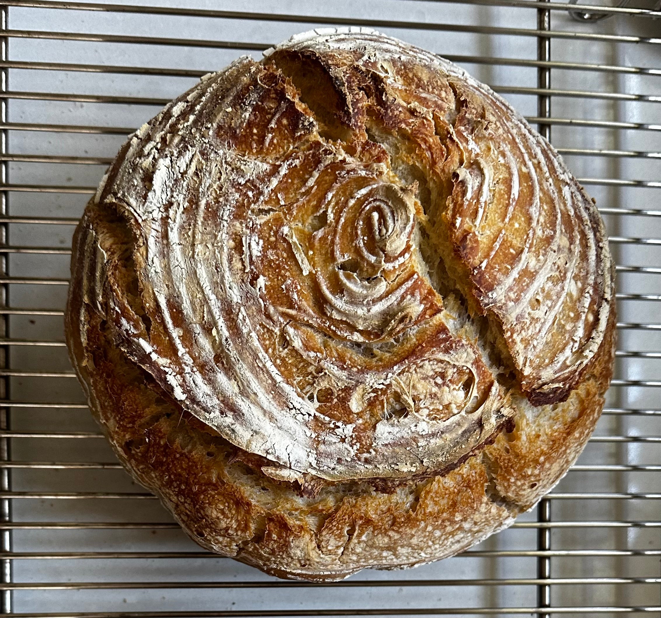 Our Signature Plain Sourdough Loaf