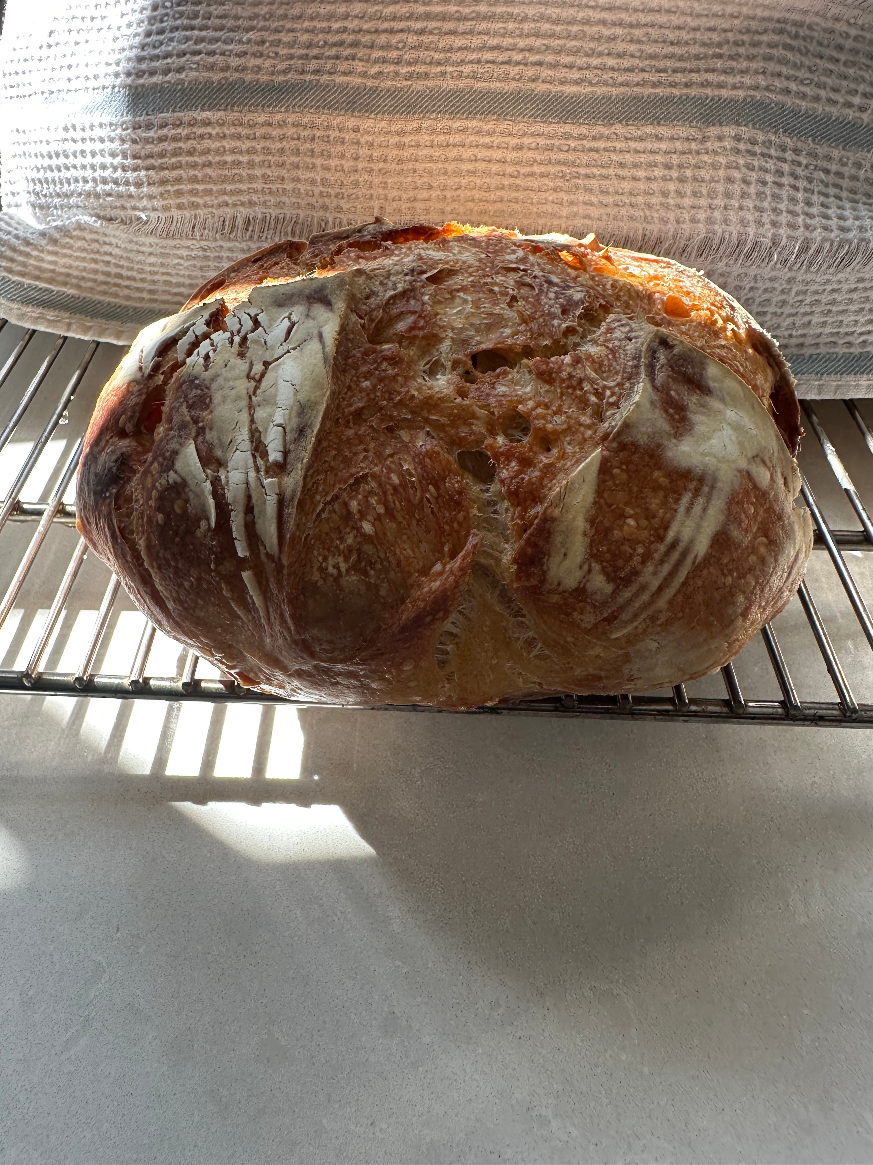 Garlic Sourdough Loaf