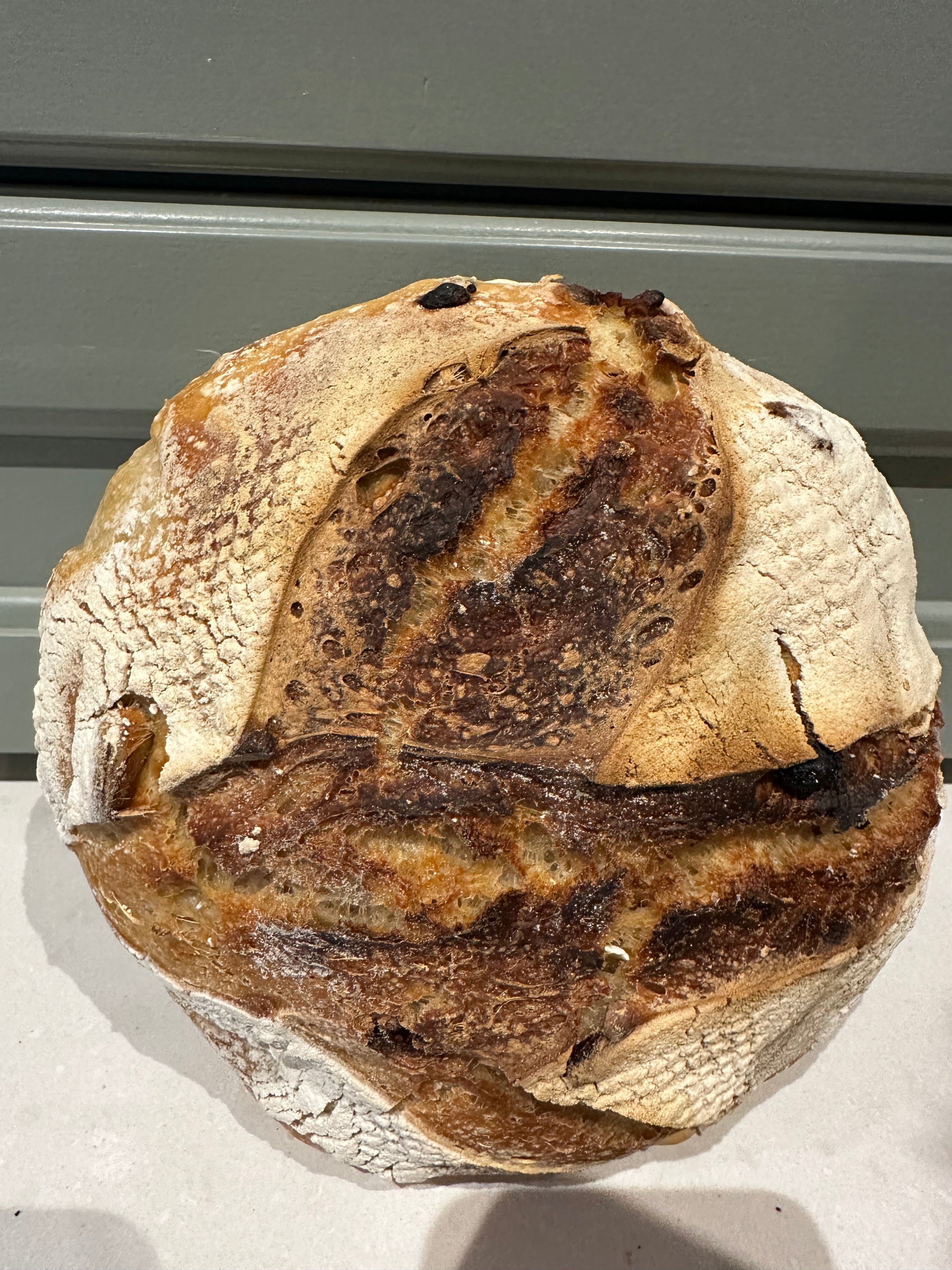 Harvest Sourdough Loaf